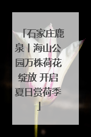 石家庄鹿泉丨海山公园万株荷花绽放 开启夏日赏荷季