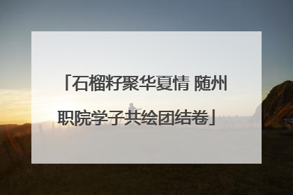石榴籽聚华夏情 随州职院学子共绘团结卷