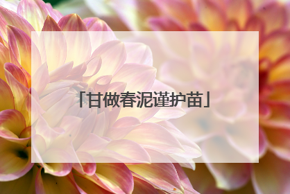 甘做春泥谨护苗