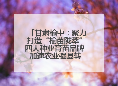 甘肃榆中：聚力打造“榆苗陇萃”四大种业育苗品牌 加速农业强县转型步伐