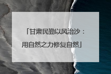 甘肃民勤以风治沙：用自然之力修复自然