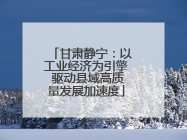 甘肃静宁：以工业经济为引擎 驱动县域高质量发展加速度