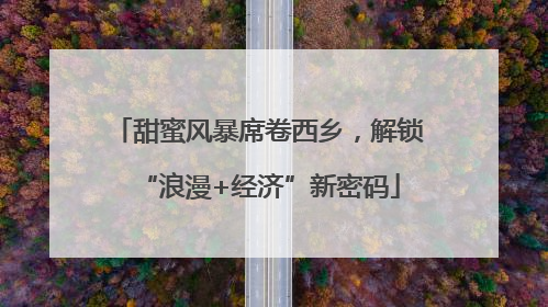 甜蜜风暴席卷西乡，解锁“浪漫+经济”新密码