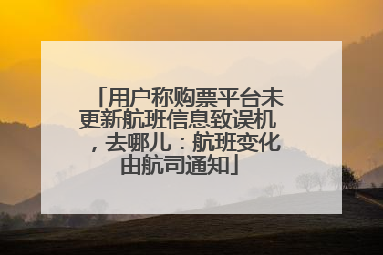 用户称购票平台未更新航班信息致误机，去哪儿：航班变化由航司通知