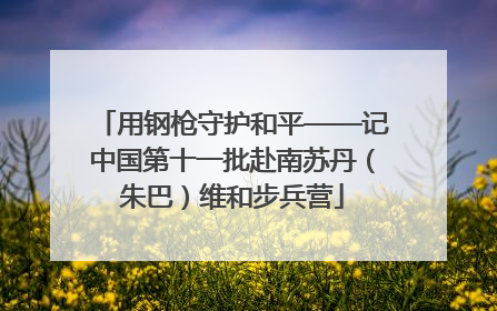 用钢枪守护和平——记中国第十一批赴南苏丹（朱巴）维和步兵营