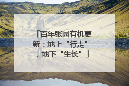 百年张园有机更新：地上“行走”，地下“生长”