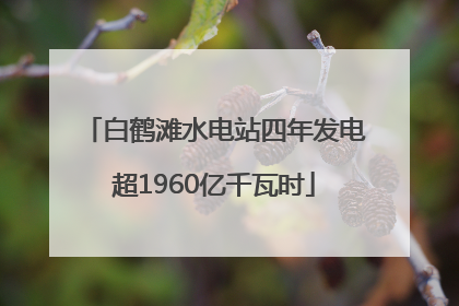 白鹤滩水电站四年发电超1960亿千瓦时
