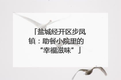 盐城经开区步凤镇：助餐小院里的“幸福滋味”