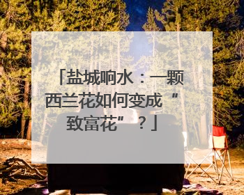 盐城响水：一颗西兰花如何变成“致富花”？