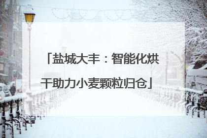盐城大丰：智能化烘干助力小麦颗粒归仓
