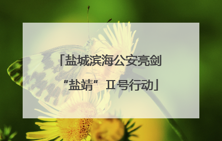 盐城滨海公安亮剑“盐靖”Ⅱ号行动