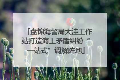 盘锦海警局大洼工作站打造海上矛盾纠纷“一站式”调解阵地