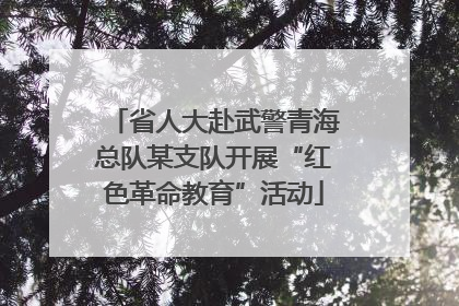 省人大赴武警青海总队某支队开展“红色革命教育”活动