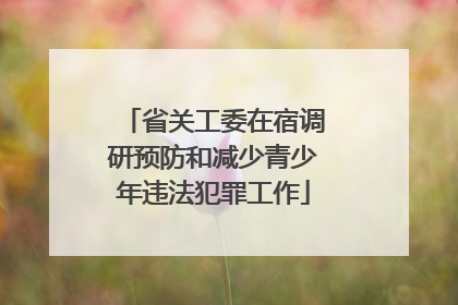 省关工委在宿调研预防和减少青少年违法犯罪工作