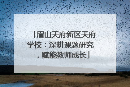眉山天府新区天府学校：深耕课题研究，赋能教师成长
