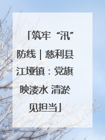 筑牢“汛”防线｜慈利县江垭镇：党旗映溇水 清淤见担当