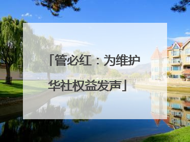 管必红：为维护华社权益发声