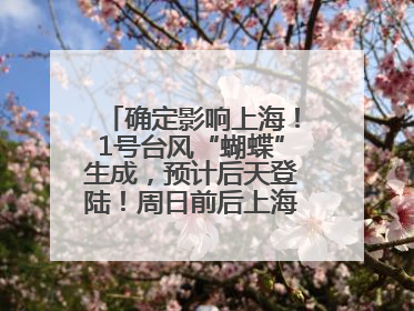 确定影响上海！1号台风“蝴蝶”生成，预计后天登陆！周日前后上海有明显降水