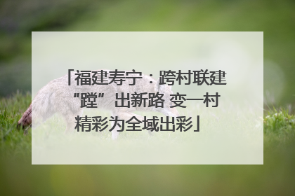 福建寿宁：跨村联建“蹚”出新路 变一村精彩为全域出彩