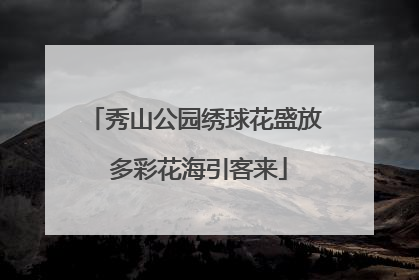 秀山公园绣球花盛放 多彩花海引客来