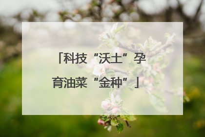 科技“沃土”孕育油菜“金种”