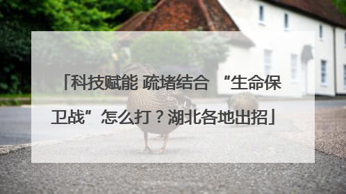 科技赋能 疏堵结合 “生命保卫战”怎么打？湖北各地出招