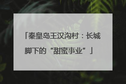 秦皇岛王汉沟村：长城脚下的“甜蜜事业”