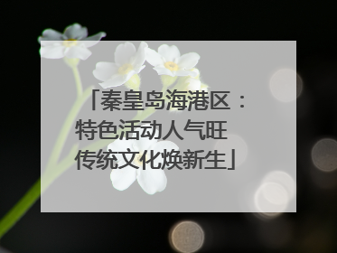 秦皇岛海港区：特色活动人气旺 传统文化焕新生