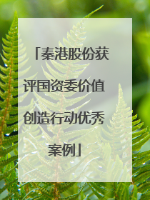 秦港股份获评国资委价值创造行动优秀案例