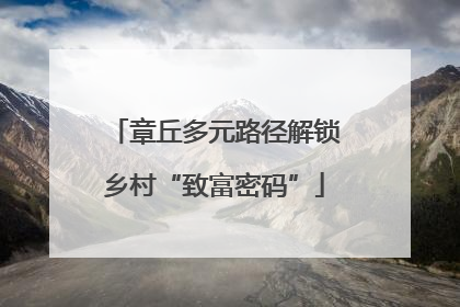 章丘多元路径解锁乡村“致富密码”
