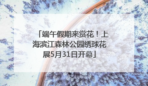 端午假期来赏花！上海滨江森林公园绣球花展5月31日开幕