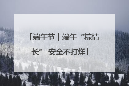 端午节｜端午“粽情长” 安全不打烊