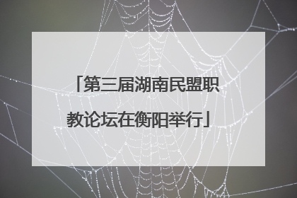 第三届湖南民盟职教论坛在衡阳举行