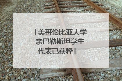 美哥伦比亚大学一亲巴勒斯坦学生代表已获释