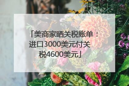 美商家晒关税账单：进口3000美元付关税4600美元