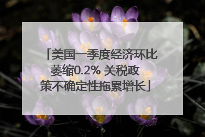 美国一季度经济环比萎缩0.2% 关税政策不确定性拖累增长