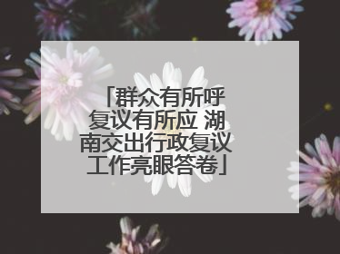 群众有所呼 复议有所应 湖南交出行政复议工作亮眼答卷