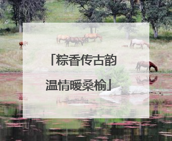 粽香传古韵 温情暖桑榆