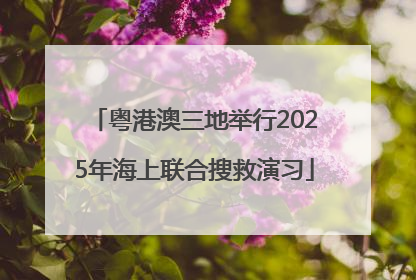 粤港澳三地举行2025年海上联合搜救演习