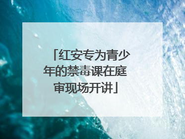 红安专为青少年的禁毒课在庭审现场开讲