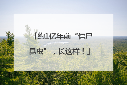 约1亿年前“僵尸昆虫”，长这样！