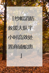 纱帽消防救援大队半小时高效处置商铺蛇患