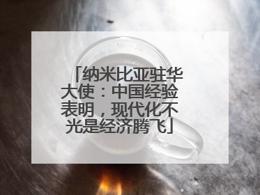 纳米比亚驻华大使：中国经验表明，现代化不光是经济腾飞