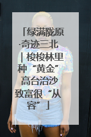 绿满陇原·奇迹三北｜梭梭林里种“黄金” 高台治沙致富很“从容”