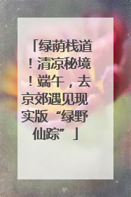 绿荫栈道！清凉秘境！端午，去京郊遇见现实版“绿野仙踪”