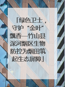 绿色卫士，守护“金叶”飘香—竹山县深河烟区生物防控为烟田筑起生态屏障
