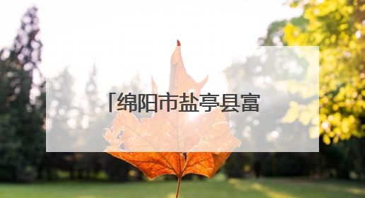 绵阳市盐亭县富驿镇中心小学开展幼小衔接活动