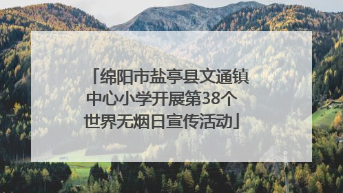 绵阳市盐亭县文通镇中心小学开展第38个世界无烟日宣传活动