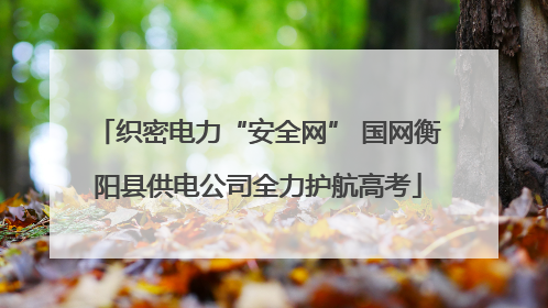 织密电力“安全网” 国网衡阳县供电公司全力护航高考