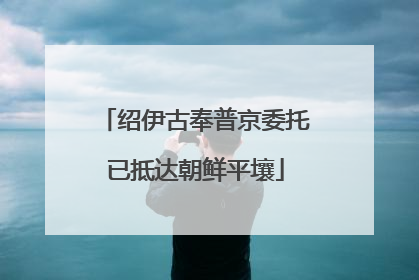 绍伊古奉普京委托已抵达朝鲜平壤